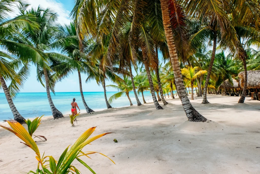Playa con palmeras en playa caribeña.
