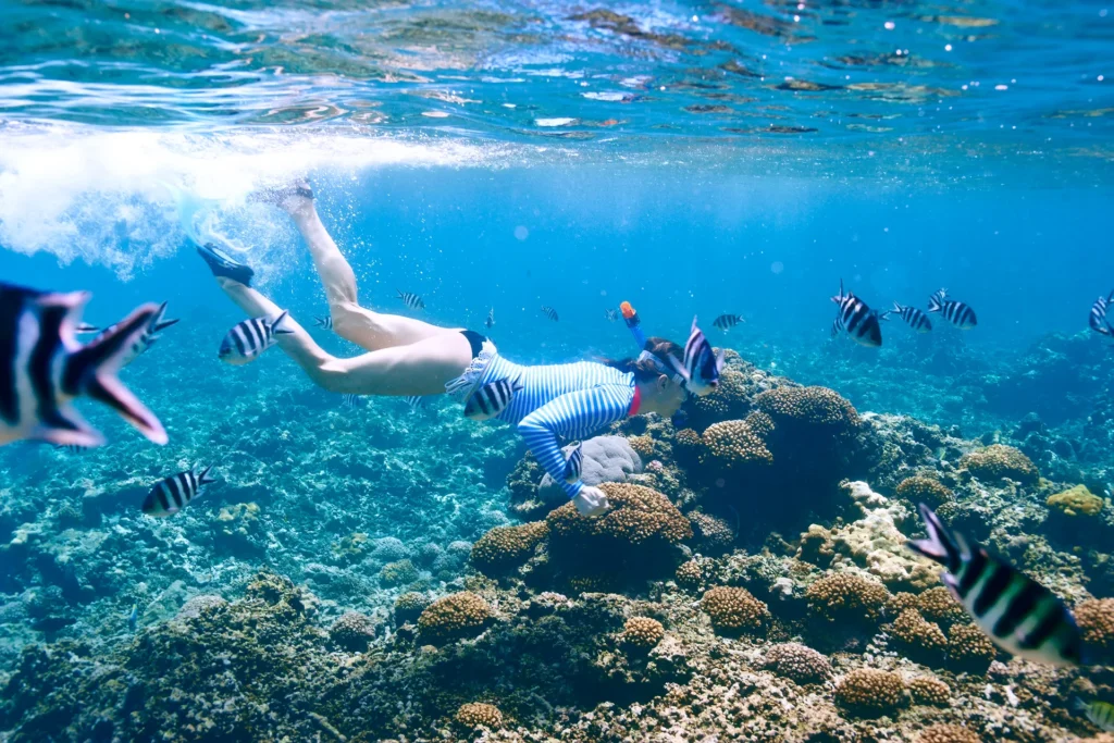 snorkel aguas turquesas
