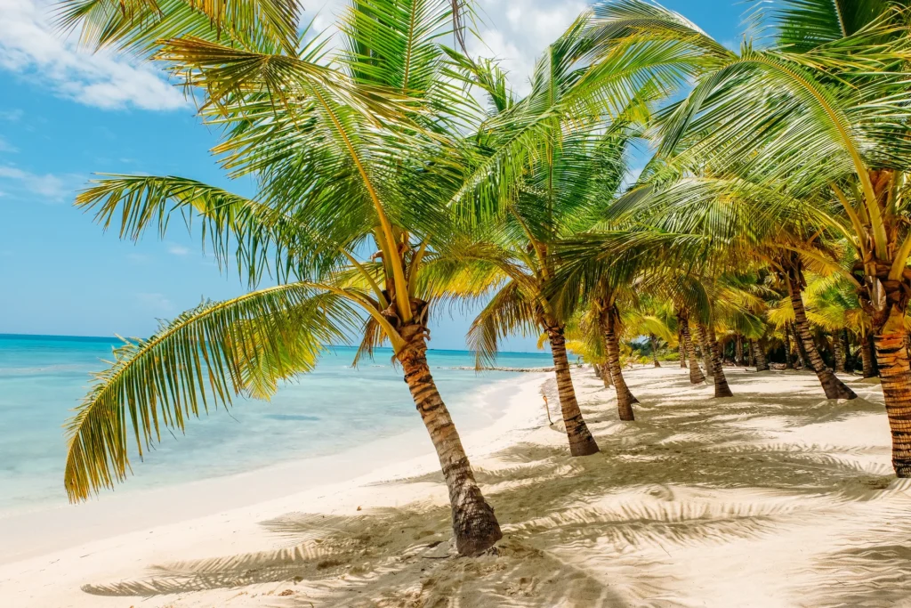 playa paradisíaca