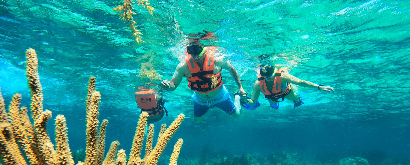 Snorkel