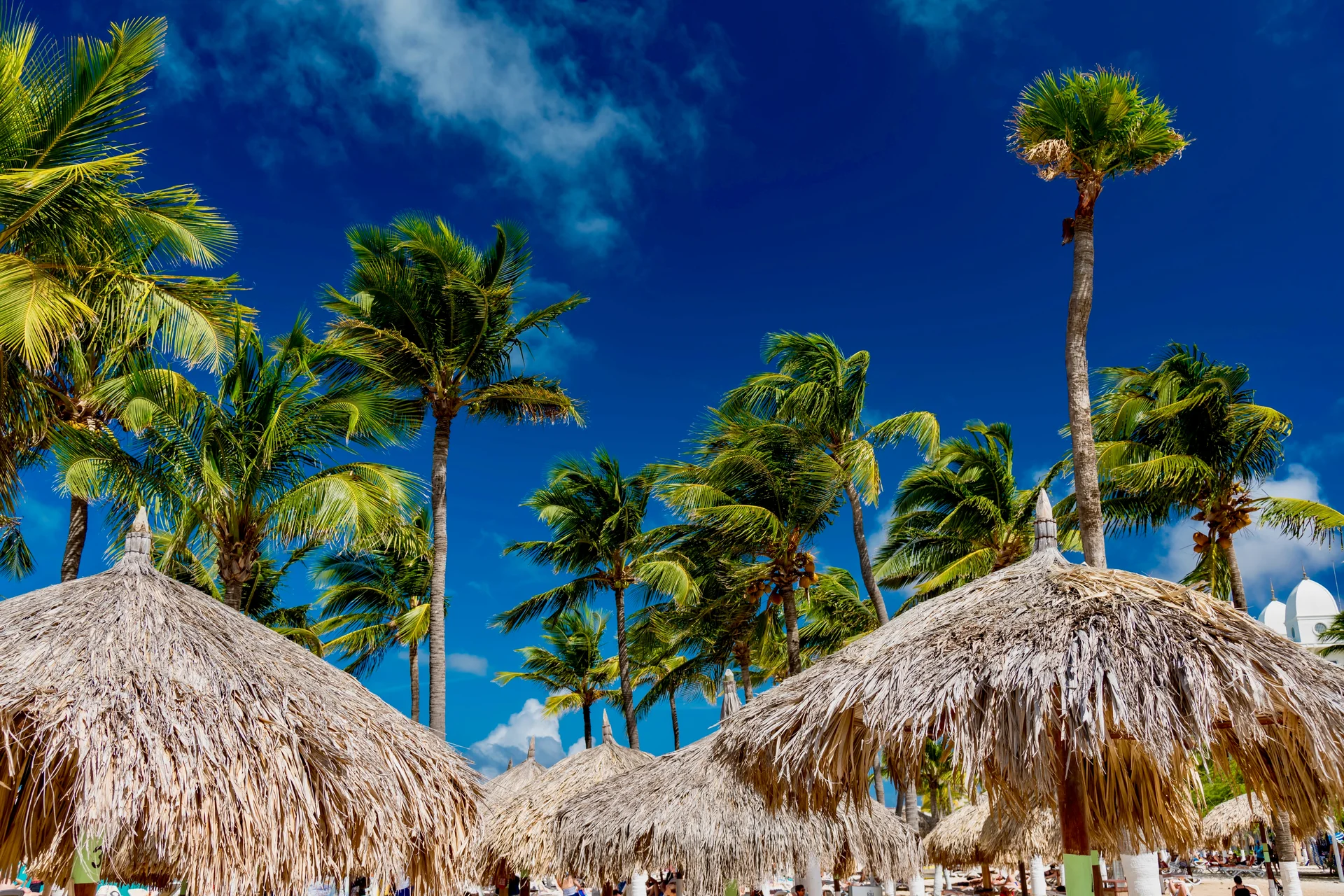 Palmeras con cielos azules y sombrillas en el Caribe